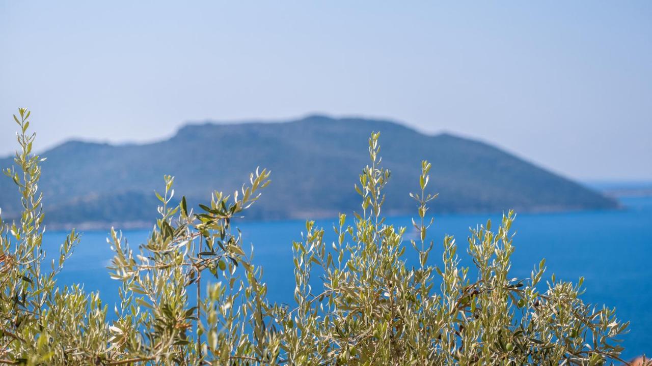 Sea Mist Suites Kaş Exterior photo